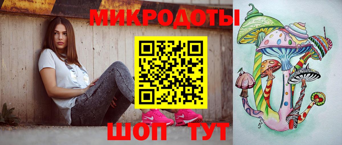 Псилоцибиновые грибы Psilocybine cubensis Сыктывкар